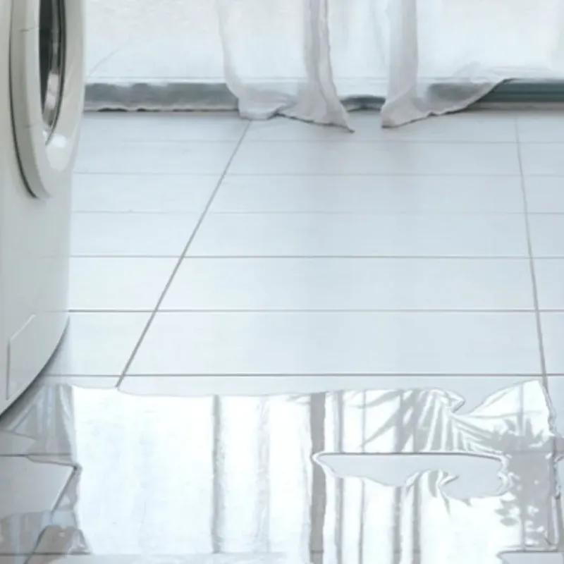 Appliance Leak Cleanup in Clay County, GA