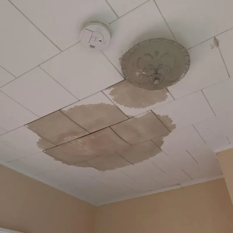 Ceiling Water Damage Repair in Clay County, GA