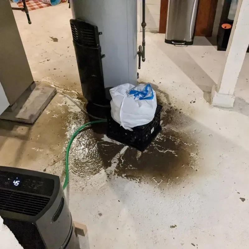 Sewage Backup Cleanup Service in Clay County, GA